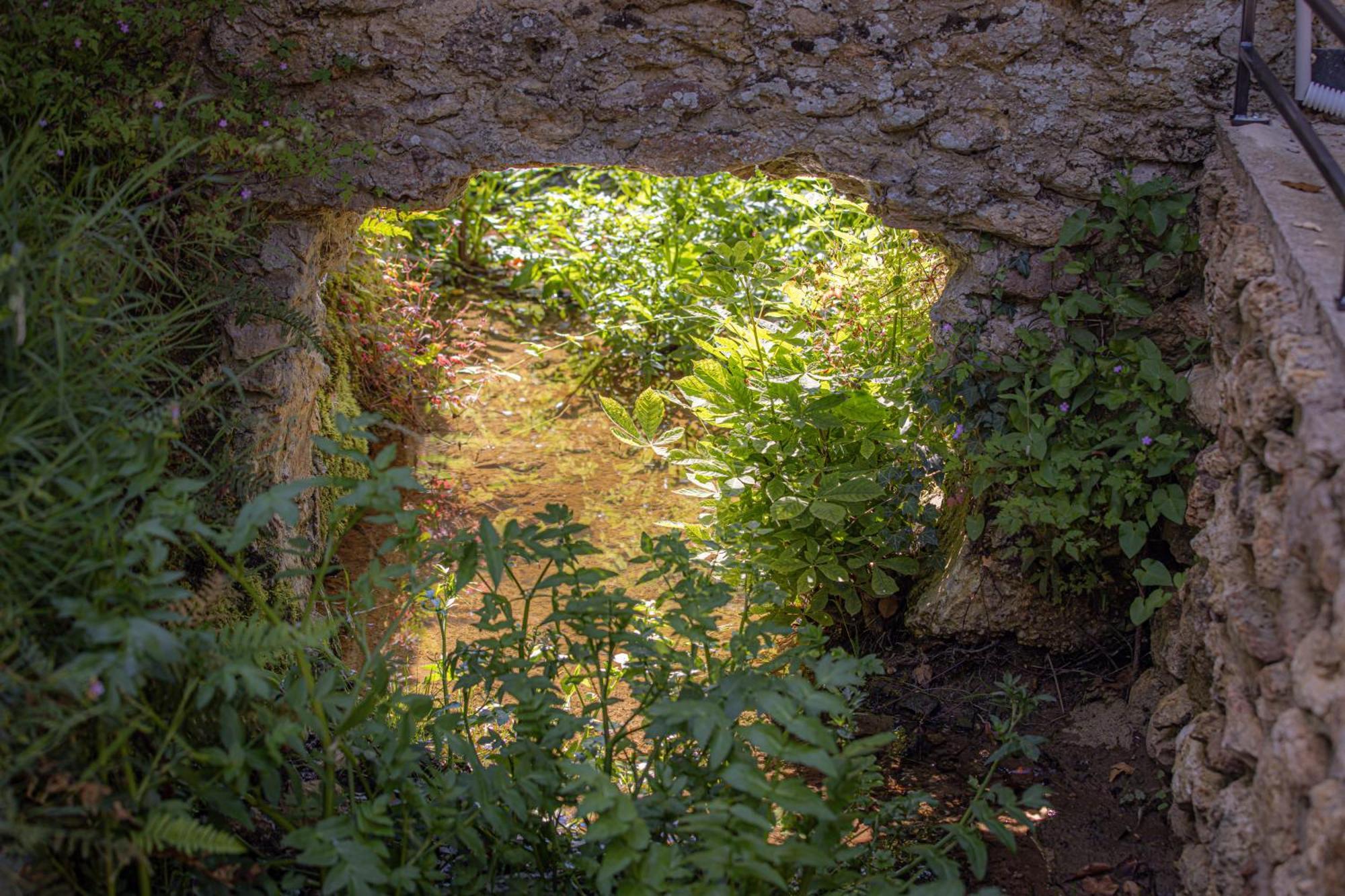 Le Ru De Biche - 20Min Disney - Spa Du 01 05 Au 01 11 - Paisible Guérard エクステリア 写真